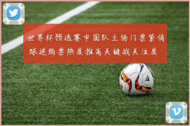 世界杯预选赛中国队主场门票紧俏 球迷购票热度推高关键战关注度