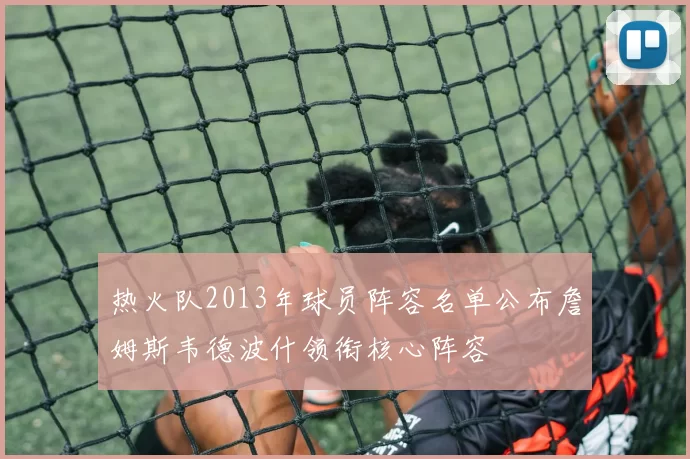 热火队2013年球员阵容名单公布詹姆斯韦德波什领衔核心阵容