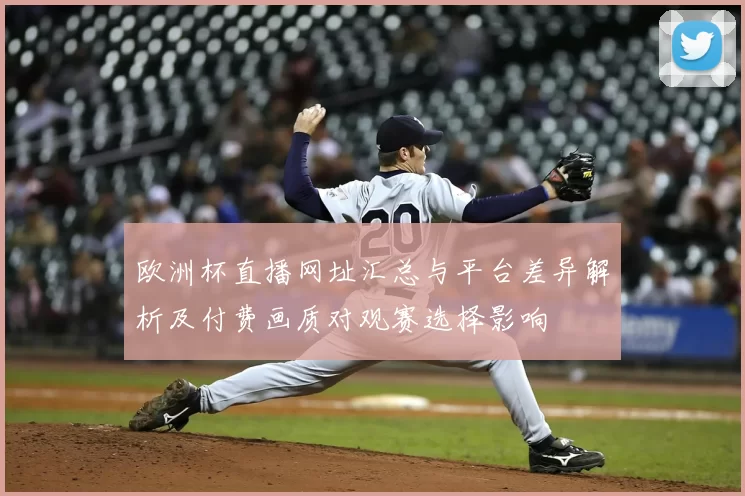 欧洲杯直播网址汇总与平台差异解析及付费画质对观赛选择影响