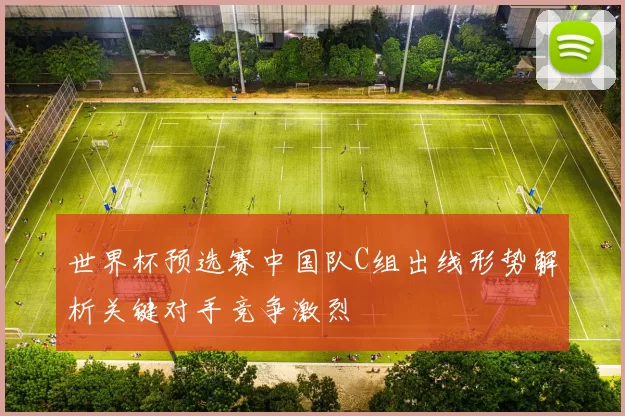 世界杯预选赛中国队C组出线形势解析关键对手竞争激烈