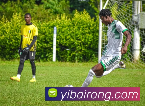 EMC易倍·(中国)体育官方网站平台平台生态图